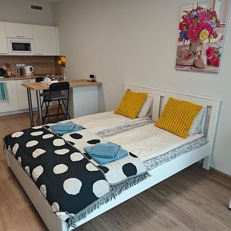 Comfort Flat With Great Location Praha Eksteriør bilde